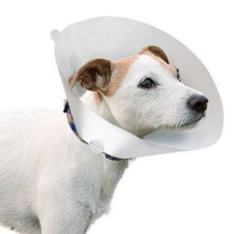 Kruuse - Classic Elizabethan Collar measures 40 cm