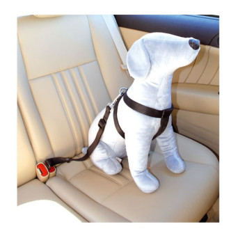 CAMON Car Safety Harness...