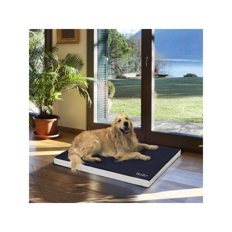 BALTO BT Blue Carpet Materassino Ortopoedico Taglia XL - 