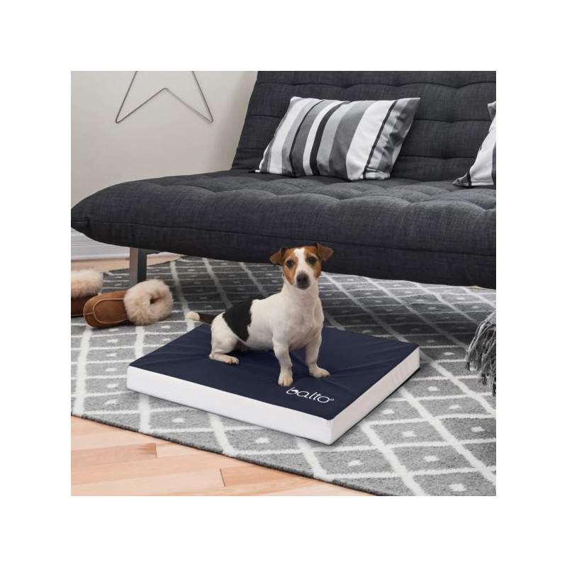 BALTO BT Blue Carpet Materassino Ortopoedico Taglia XL - 