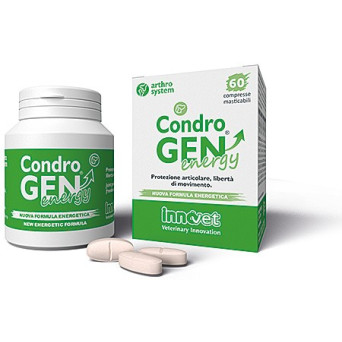 INNOVET Condrogen energy 60...