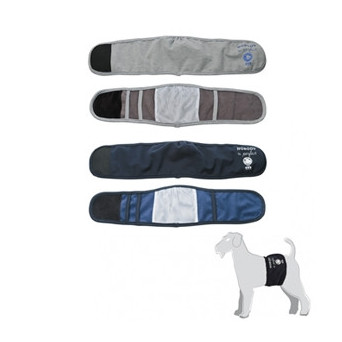 CAMON Fascia Igienica per Cani Maschi Blu Taglia M - 