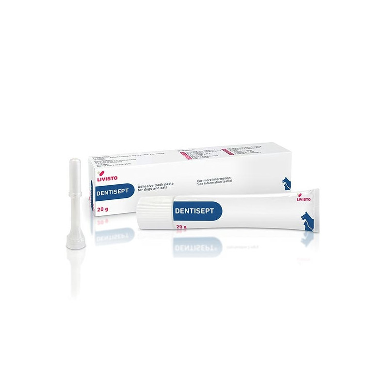 TREI-LIVISTO Dentisept con Applicatore 20 gr. - 