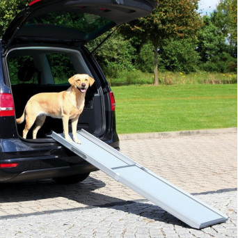 TRIXIE Petwalk Telescopic Ramp