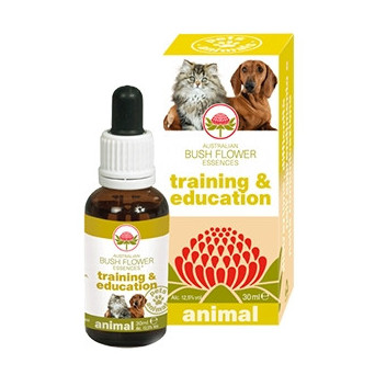 GREEN REMEDIES SPA Training & Education 30 ml. - 