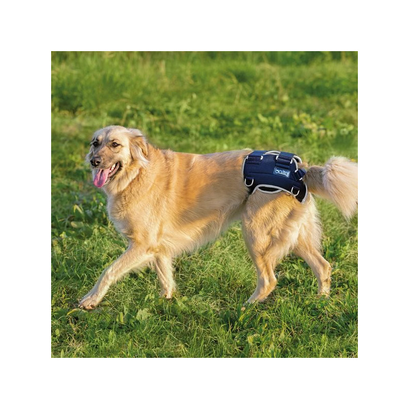 BALTO BT Life Hip Dysplasia Brace Size XS* - 