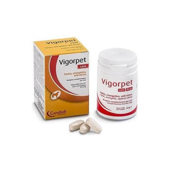 CANDIOLI Vigorpet Hunde 20 Tabletten