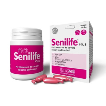 Innovet - Senilife Plus 60 cpr - 