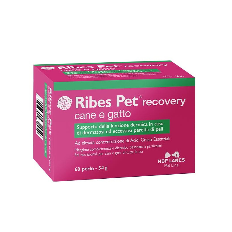 NBF Lanes Ribes Pet Recovery 60 pearls - 