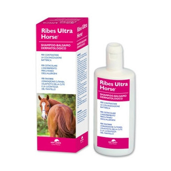 NBF LANES Ribes Ultra Horse Dermatologisches Shampoo-Balsam 1 lt. - 