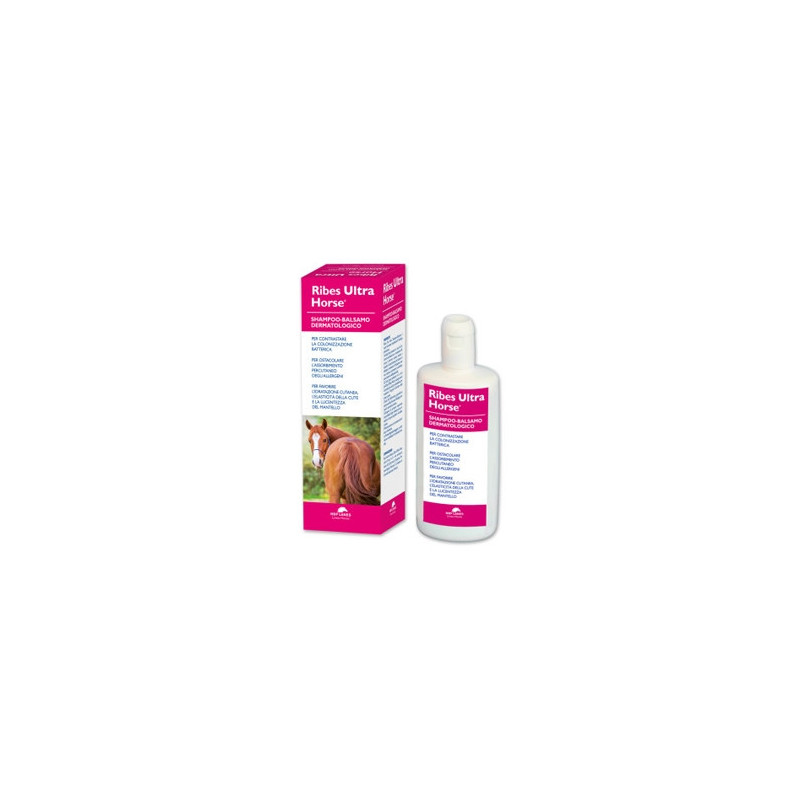 NBF LANES Ribes Ultra Horse Dermatological Shampoo-Balm 1 lt. - 