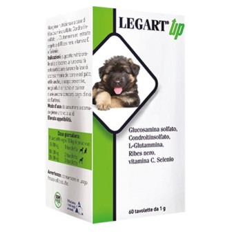 Aurora biofarma legart up 60 tablets 1 gr