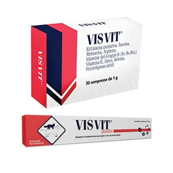 AURORA BIOFARMA visvit pasta - syringe 15 gr - 