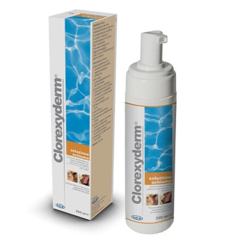 ICF Clorexyderm Foam Solution 200 ml. - 