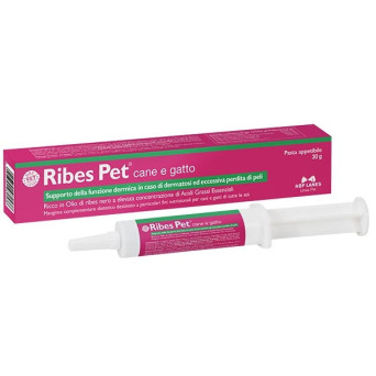 Nbf lanes pet currant paste 30 gr. - 