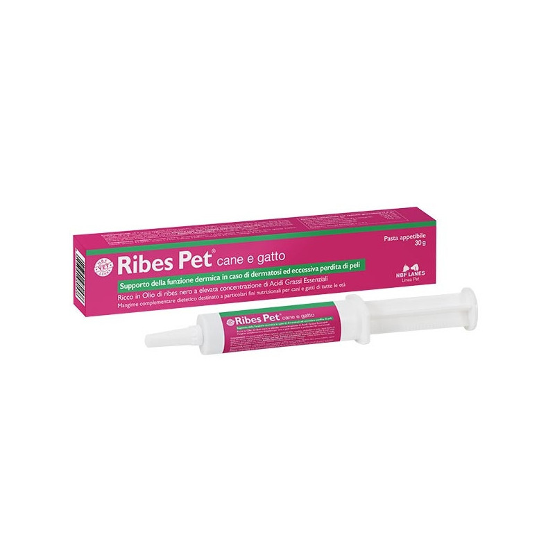 Nbf lanes pet currant paste 30 gr. - 