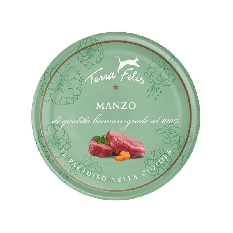 Terra felis Adult Manzo 80 gr. - 