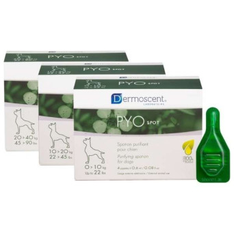 Q.VET DDermoscent PYO Spot (2,4 ml. Of 20-40 Kg.) - 