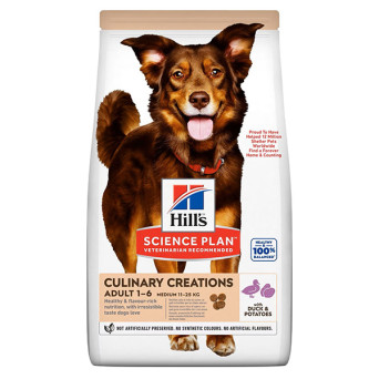 HILL's Dog kulinarische Kreation Anatra e Patata da 12 kg