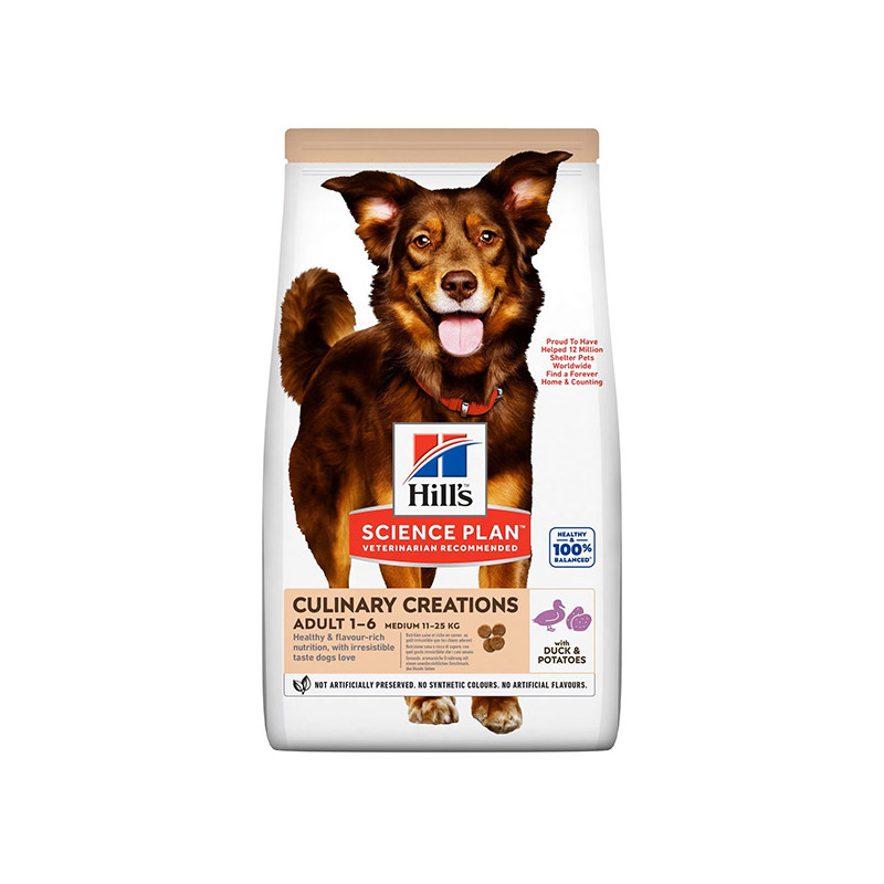 HILL's Dog kulinarische Kreation Anatra e Patata da 12 kg - 