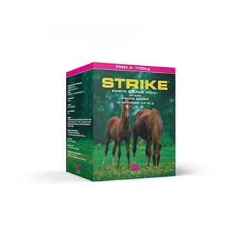 Acme - Strike Oral Paste 20 Spritzen à 35 g.