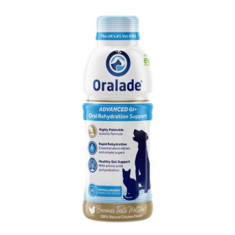 Vet Bros - Oralade 500 ml - 