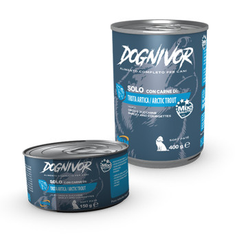 Drn - Dognivor Adult Arctic Trout Gerste und Zucchini 400gr