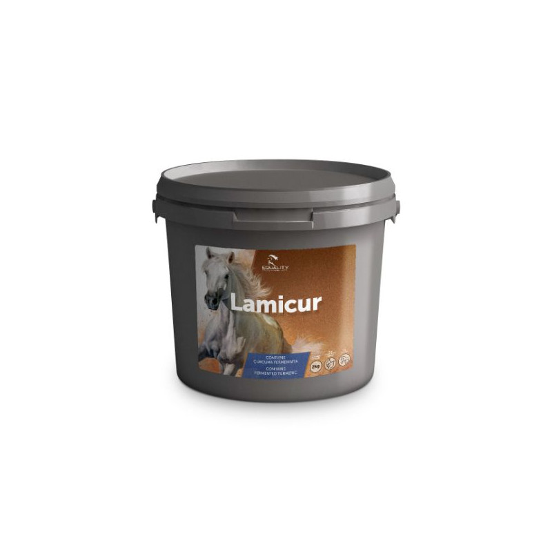 Gleichheit - Lamicur 2KG - 