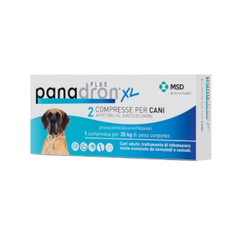 Panadron Plus XL 2 Cane Compress - 