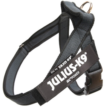 JULIUS K9 - Dog Harness Julius-k9 IDC Color & Gray Belt Harness Color Black Size 1 - 