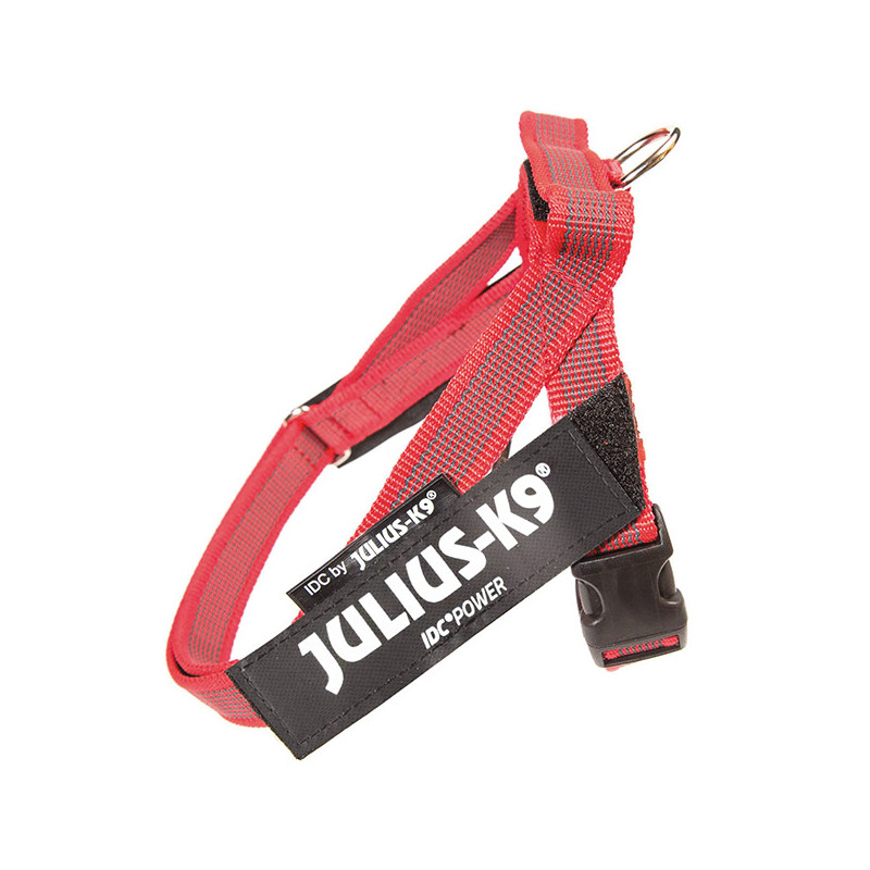 JULIUS K9 - Dog Harness Julius-k9 IDC Color & Gray Belt Harness Red Color - 