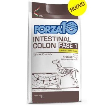 Forza10 - Active Intestinal Colon Phase 1 Lamb Sorghum 10 KG - 