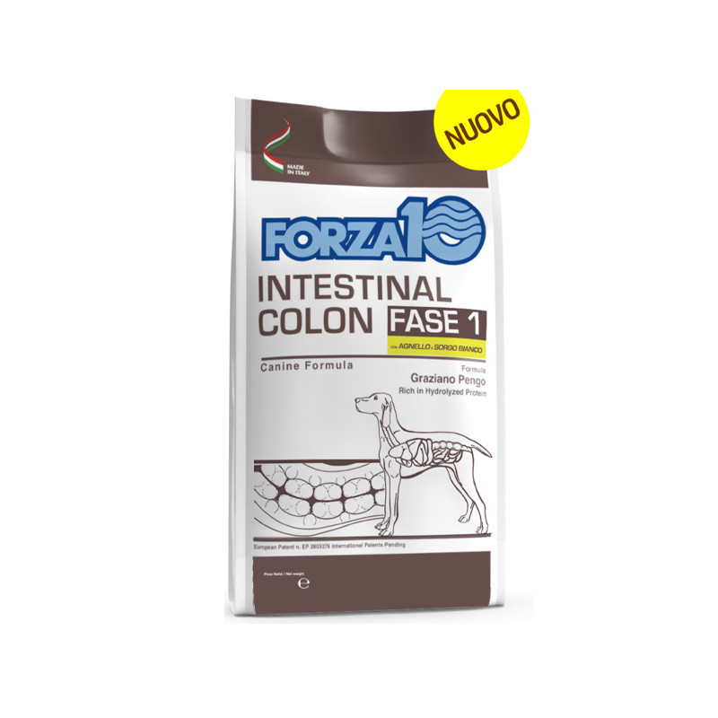 Forza10 - Active Intestinal Colon Fase 1 Agnello  Sorgo 10 KG - 