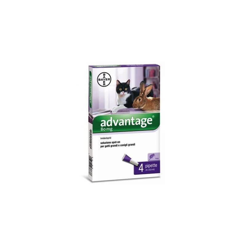 Advantage Spot On Gatti/Conigli Superiore 4 kg. - 