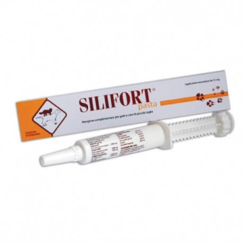 Aurora Biofarma Silifort Pasta 15 gr. - 