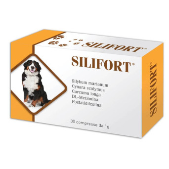 Aurora biofarma silifort 30 compresse 1 gr - 