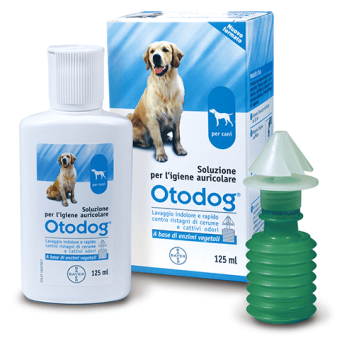 Bayer otodog 125 ml - 