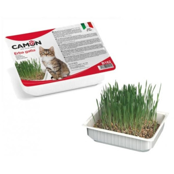 Camon - Erba per Gatto - 