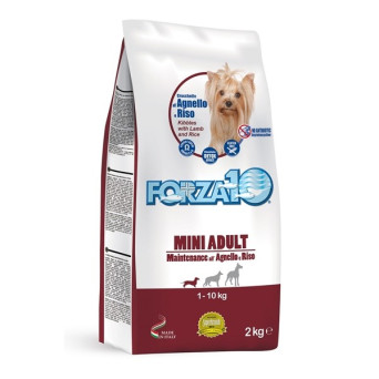 Forza10 Cane Adult Mini Maintenance Agnello Riso 2 kg - 