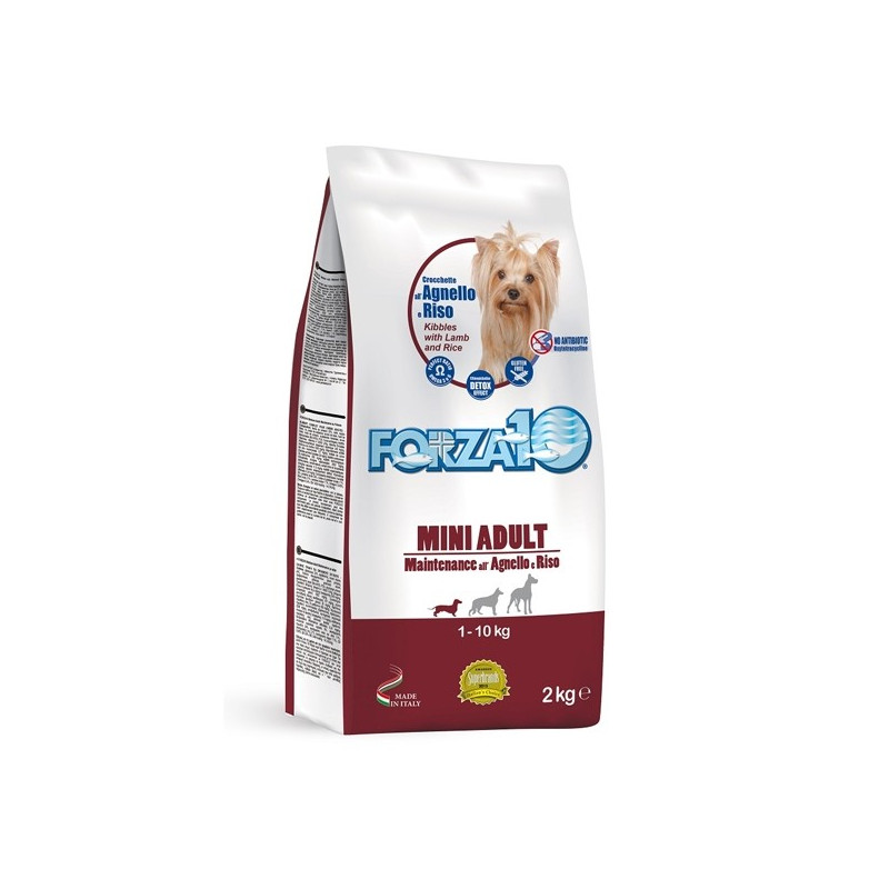 Forza10 Cane Adult Mini Maintenance Agnello Riso 2 kg - 