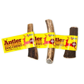 ANTOS Dog Antler 100%...