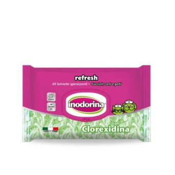 INODORINA WIPES 40 pcs.