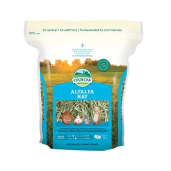 OXBOW ANIMAL HEALTH Alfalfa Hay 425 gr.