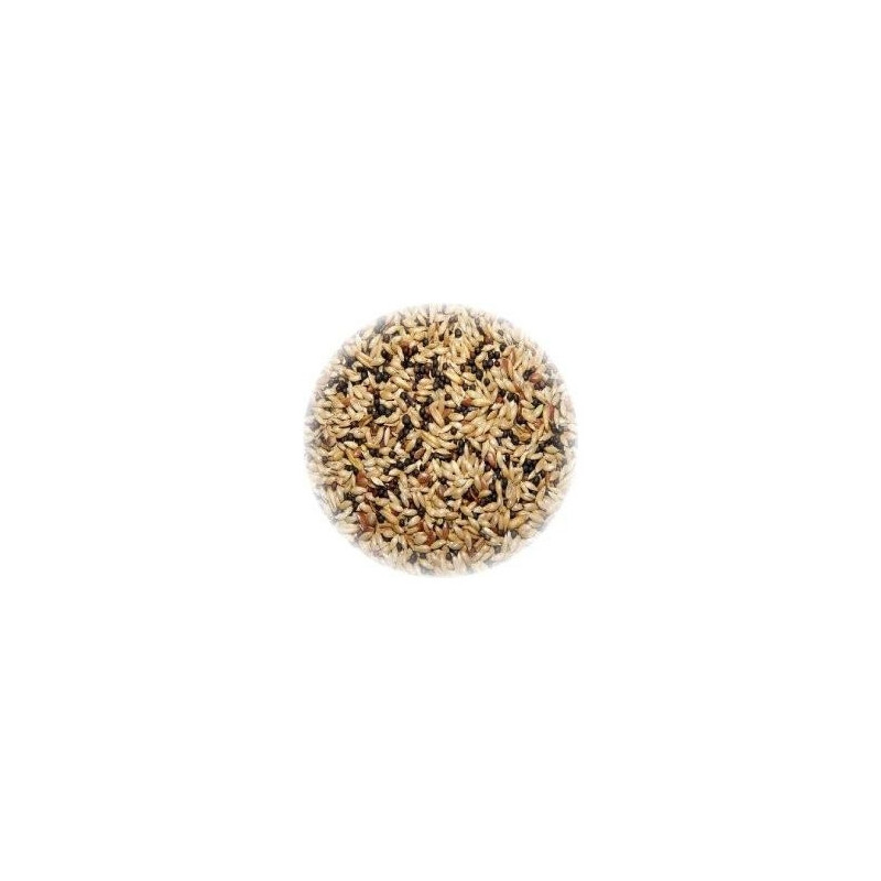 ALI' SEEDS Ali Mangime per Canarini Hobbyitalia 1 kg. - 