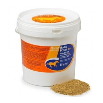 CANDIOLI Horse power 100 - vitamin food type 1 4 kg.