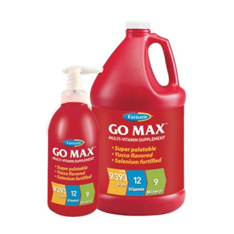 CHIFA Go Max 946 ml. - 