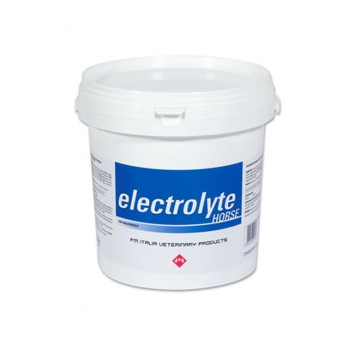 FM ITALIA Electrolyte Horse 3 kg. - 