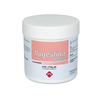 FM ITALIA Flogestina Rosa 4 kg.