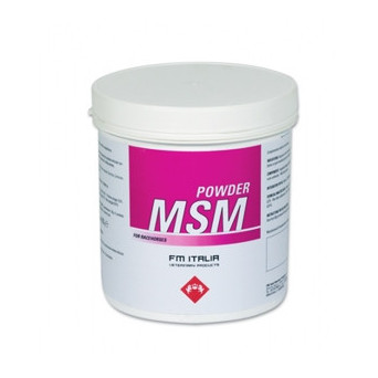 FM ITALIA Msm Powder 600 gr. - 