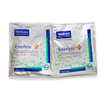 VIRBAC Enerlyte Plus 24 sachets of 100 gr. - 